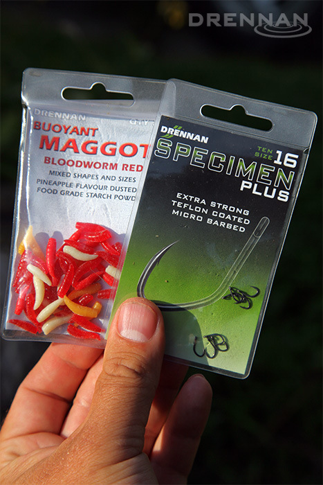 specimen-plus-maggot-rig