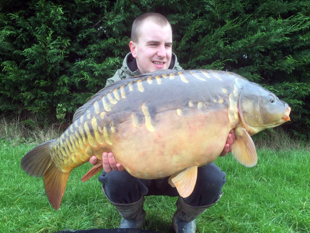 Traditional Bread Tactics Fool Huge Chub Drennan International