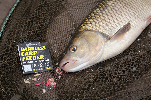 Martin Bowler's Top Tips #15 – Hooklink Choice For Chub