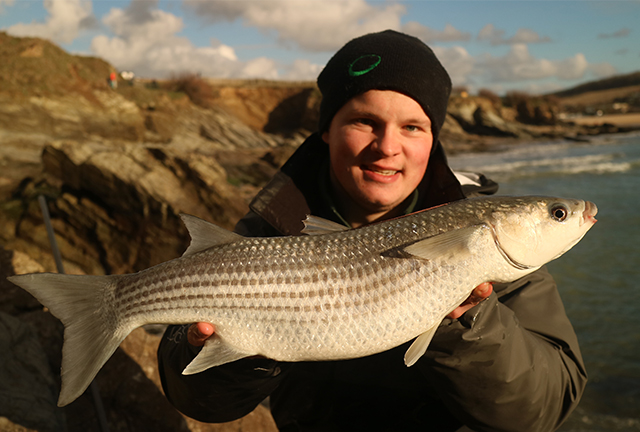 a | Drennan International