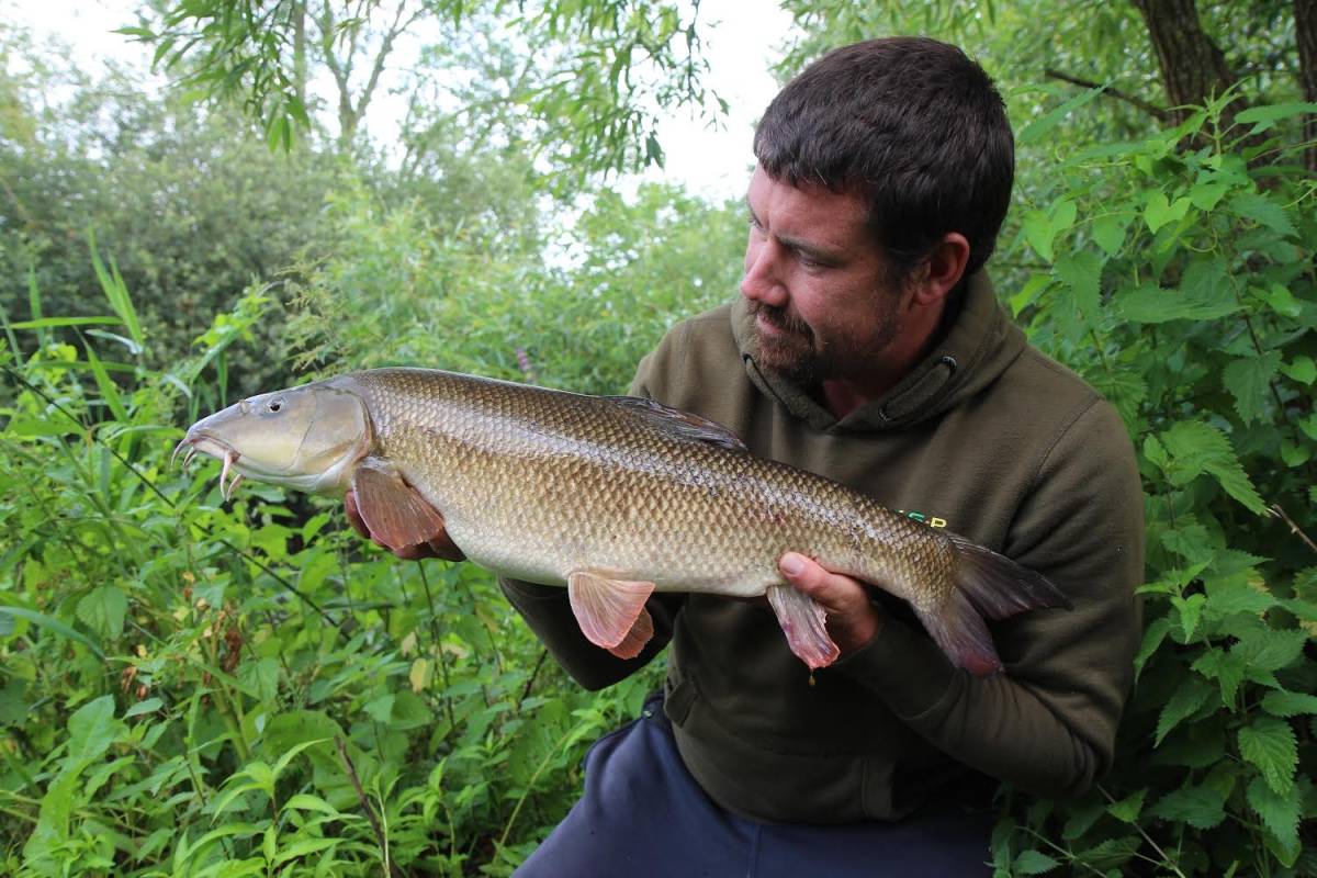 Barbel Challenge Update, James Denison